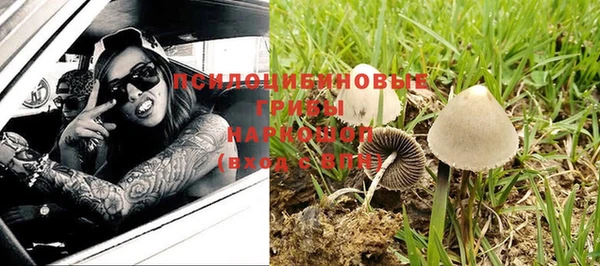 спиды Алексеевка