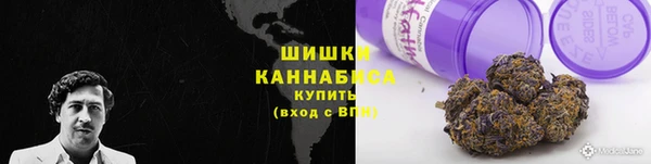 прущие крисы Алзамай